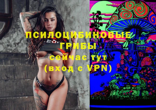 ГАЛЛЮЦИНОГЕННЫЕ ГРИБЫ Кукмор