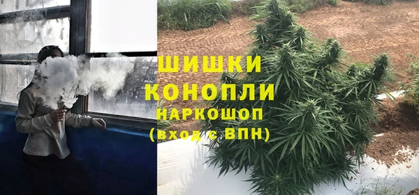 ГАЛЛЮЦИНОГЕННЫЕ ГРИБЫ Кукмор