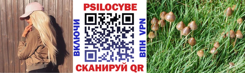 Галлюциногенные грибы MAGIC MUSHROOMS  Трубчевск 
