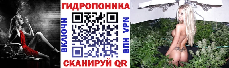 закладка  Трубчевск  Канабис SATIVA & INDICA 